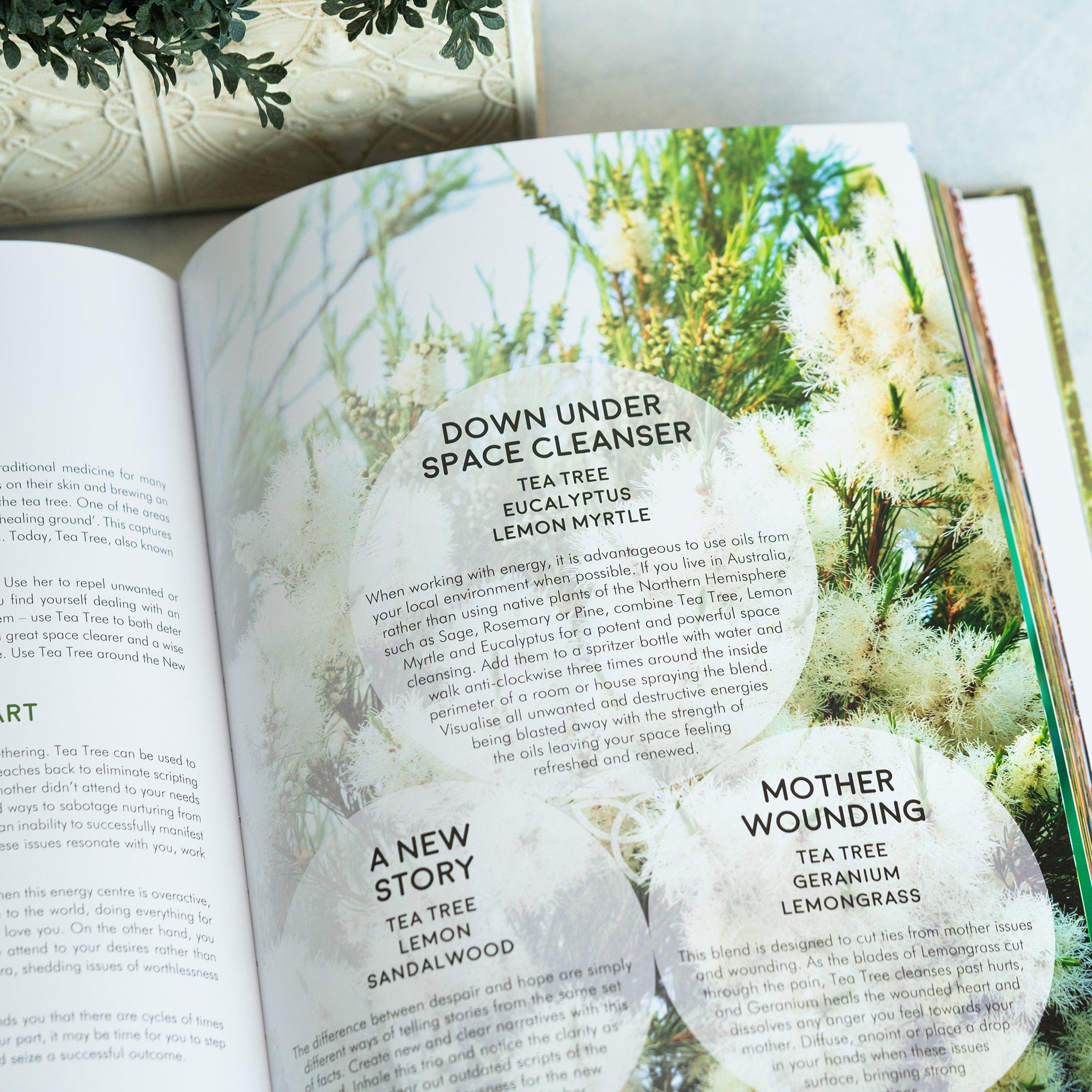 Gifts of The Essential Oils Book - 2nd Edition